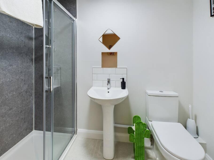 בלפסט Contemporary 2-Bedroom Apartment מראה חיצוני תמונה